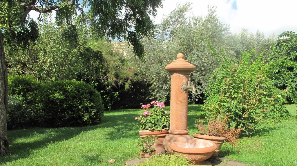 Podere Turicchio Orbetello Bagian luar foto