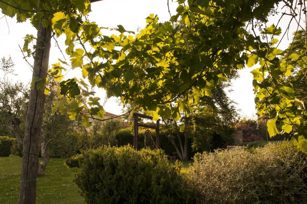 Podere Turicchio Orbetello Bagian luar foto